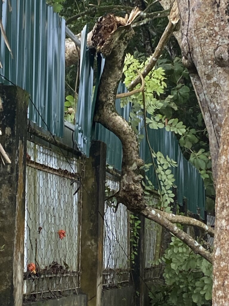 Emergency Relief for 180 Girls in the Philippines