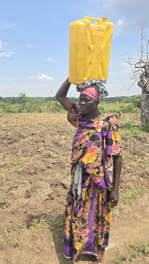 Sustainable Farms for 260 poor Ugandan Families