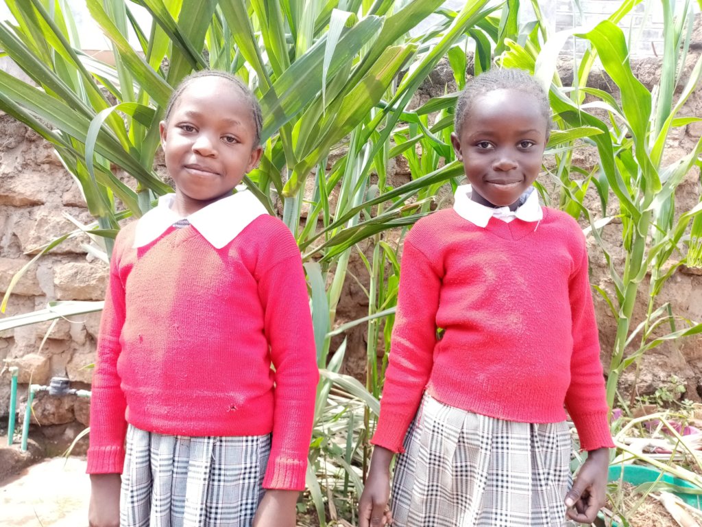 Fees for 100 Junior Secondary School kids in Kenya