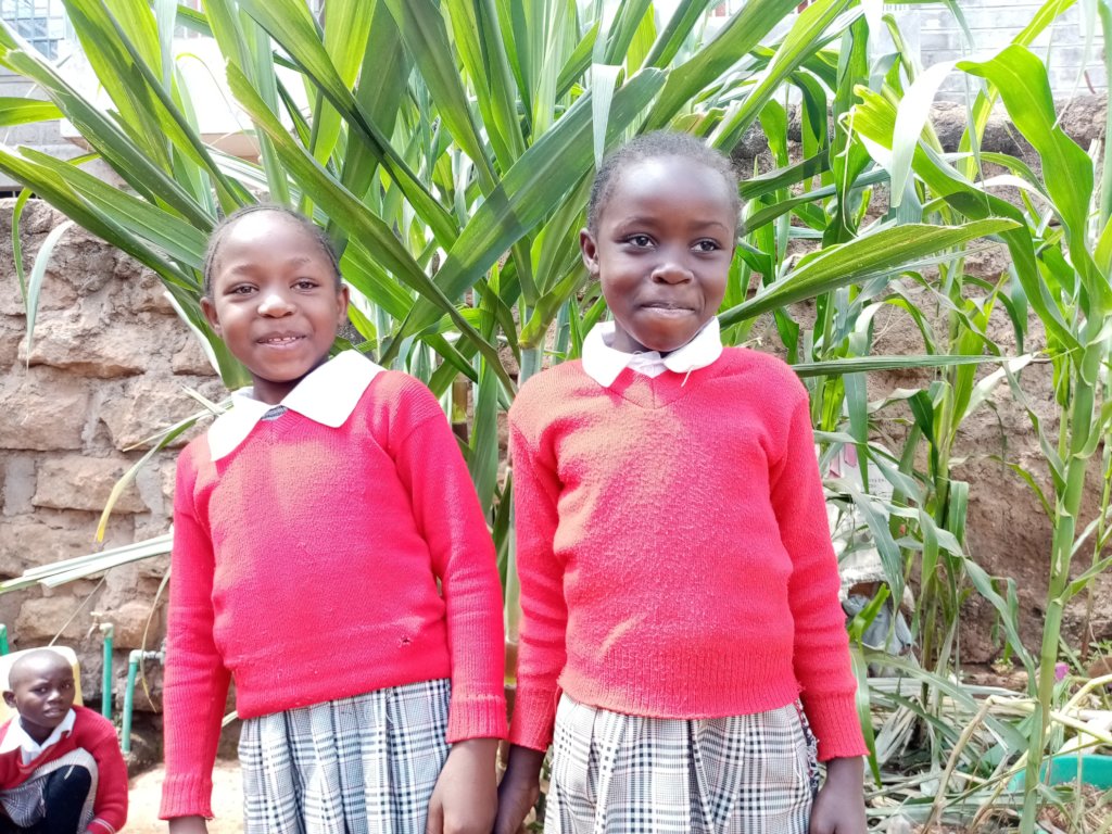 Fees for 100 Junior Secondary School kids in Kenya