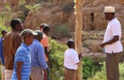 Saving 20,000 Endangered Frankincense in Somalia