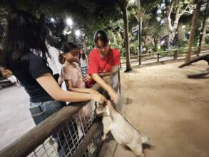 Happy to play with the animals!