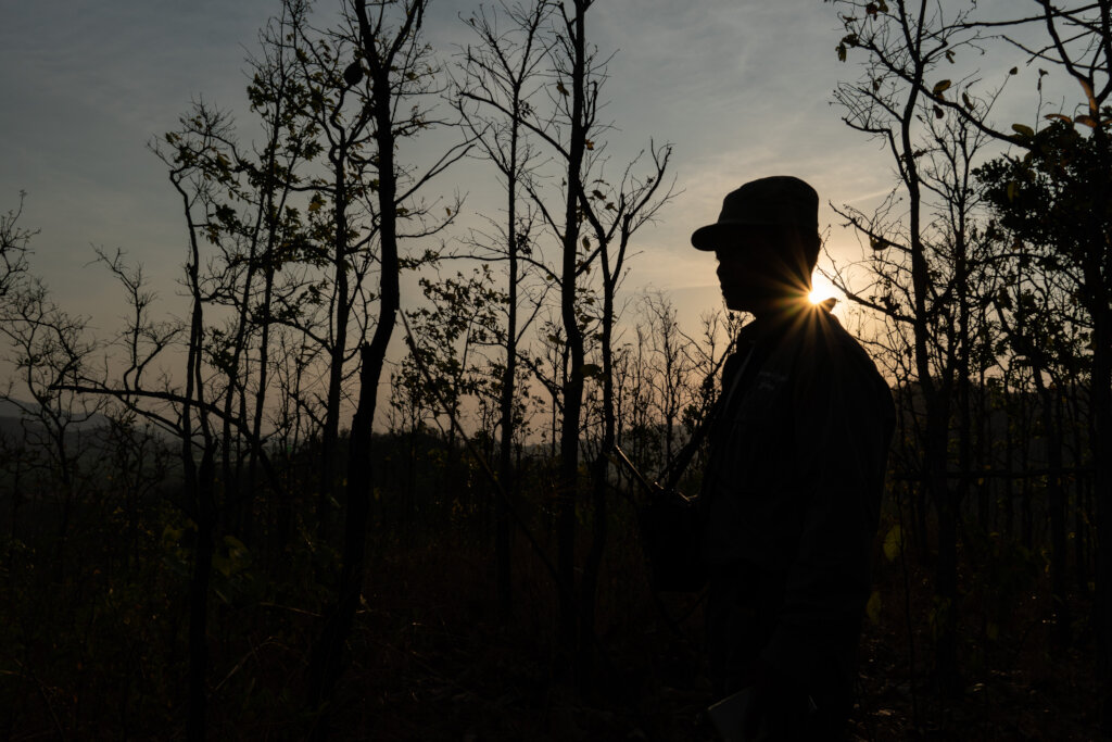 Save Cambodia's Critically Endangered Wildlife