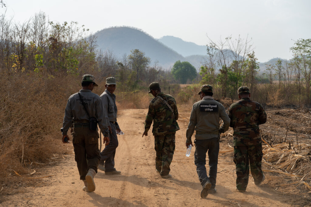 Save Cambodia's Critically Endangered Wildlife