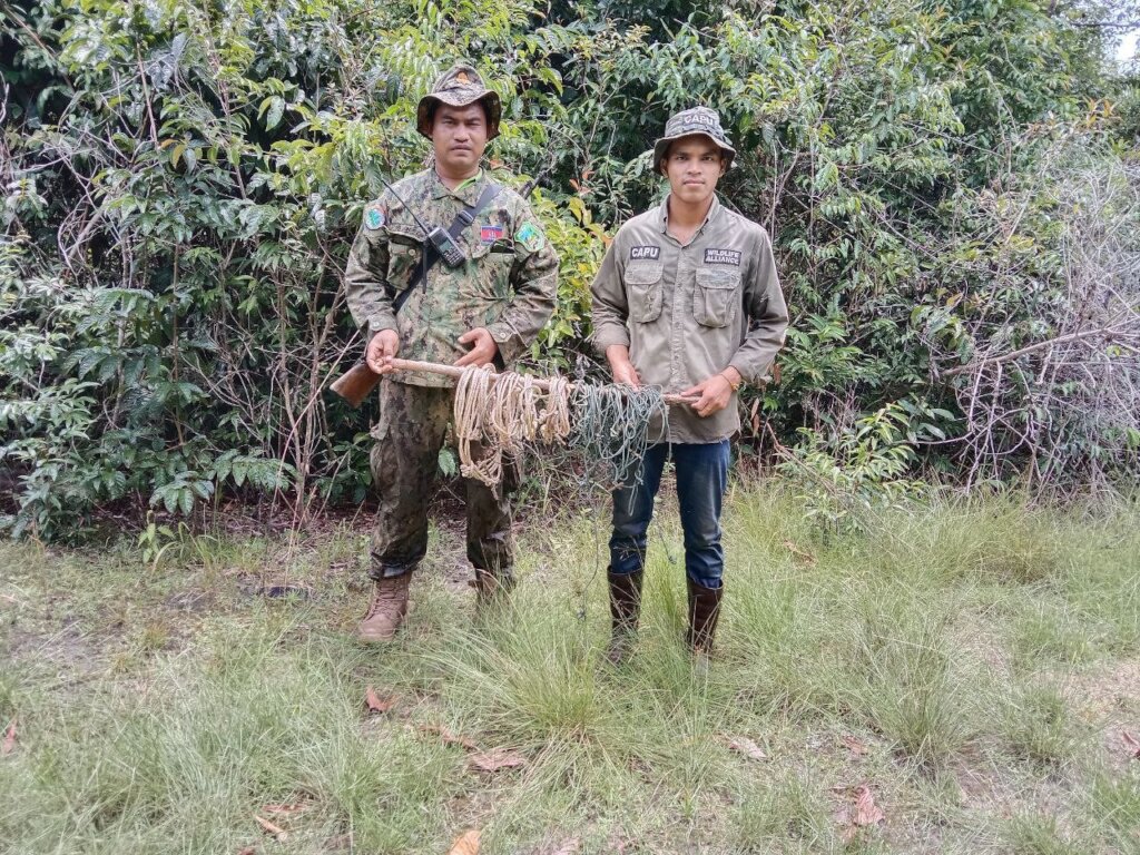 Save Cambodia's Critically Endangered Wildlife