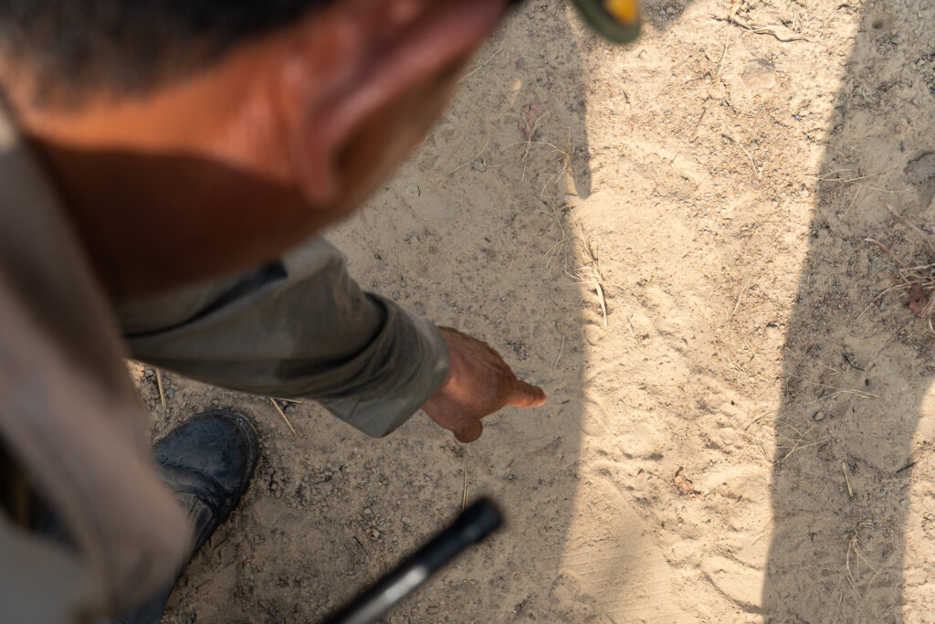 Save Cambodia's Critically Endangered Wildlife