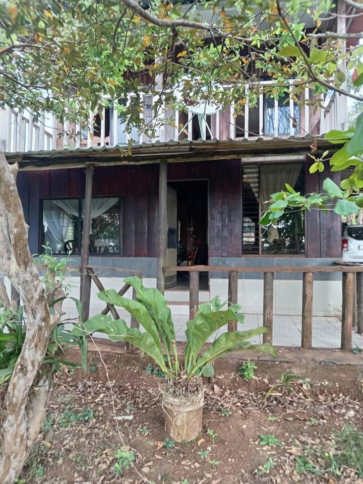 Build Their Future: Help PATA Create a Safe Refuge