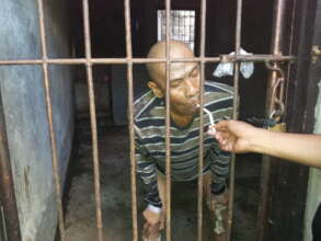 Made Caged