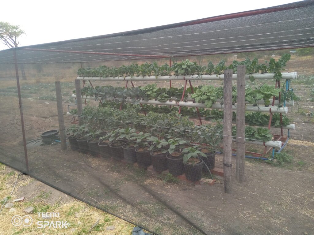 Zimconserve Permaculture Resource Centre