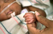 Nutrition for Premature Babies in Nigeria