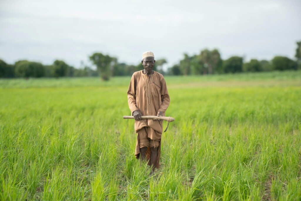 Crop Protection and Seeds for Nigerian Farmers