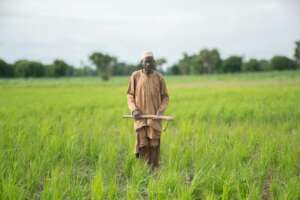 Crop Protection and Seeds for Nigerian Farmers
