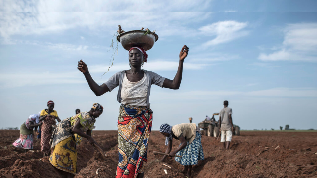 Fight Hunger & Food Insecurity in Northern Nigeria