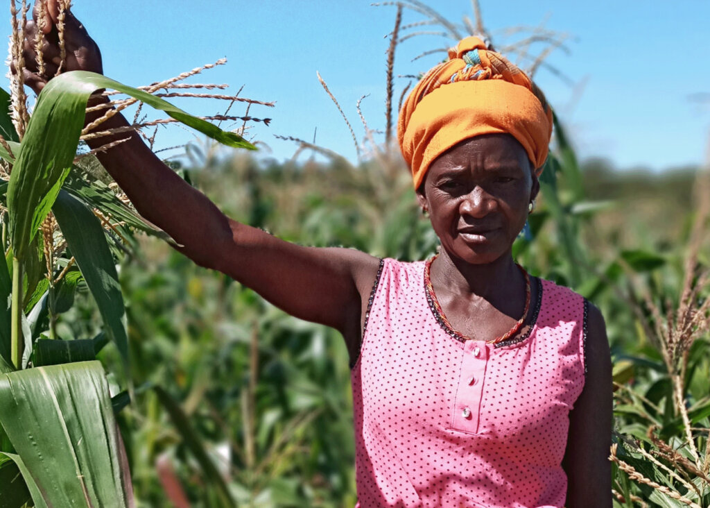 Fight Hunger & Food Insecurity in S/West Nigeria
