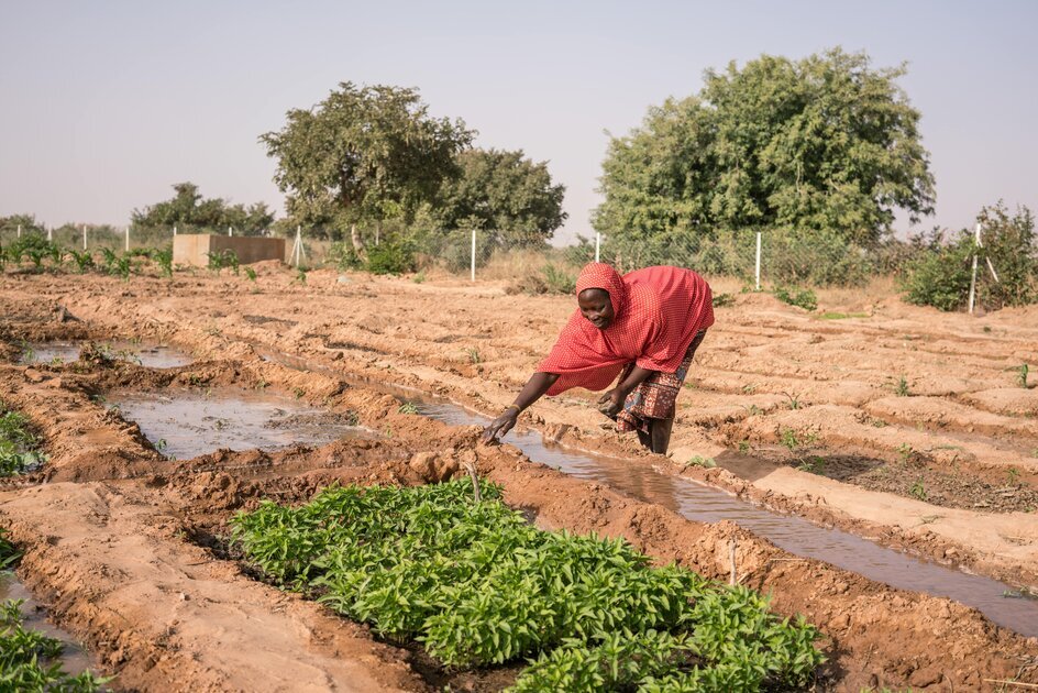 Fight Hunger & Food Insecurity in S/West Nigeria
