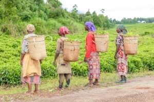Provide Health Insurance for Rural Women Farmers