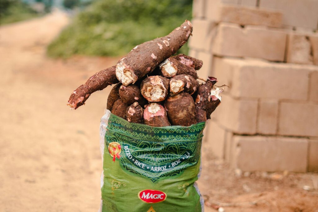 Equip Nigerian Women with Cassava Processing Tools