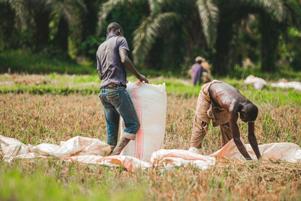 Train Nigerian Farmers in Organic Pest Management