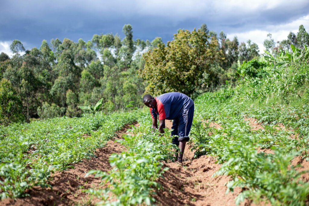Train Nigerian Farmers in Organic Pest Management