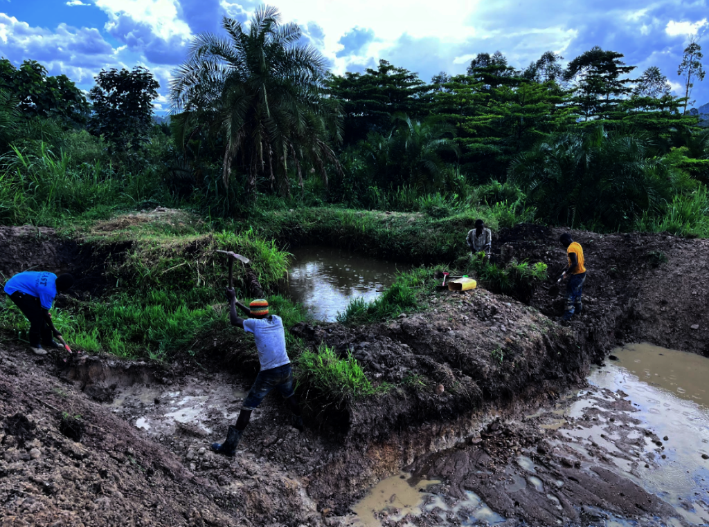 Nourish Our Thriving Pond Ecosystem