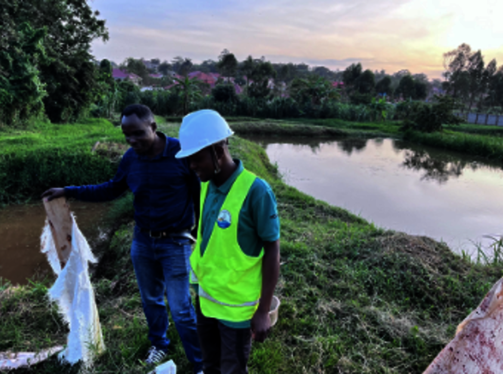 Nourish Our Thriving Pond Ecosystem