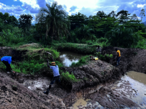 Expanding the Pond Ecosystem