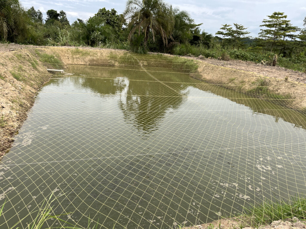 Nourish Our Thriving Pond Ecosystem
