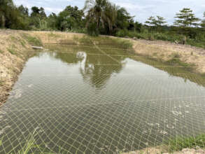 Nourish Our Thriving Pond Ecosystem