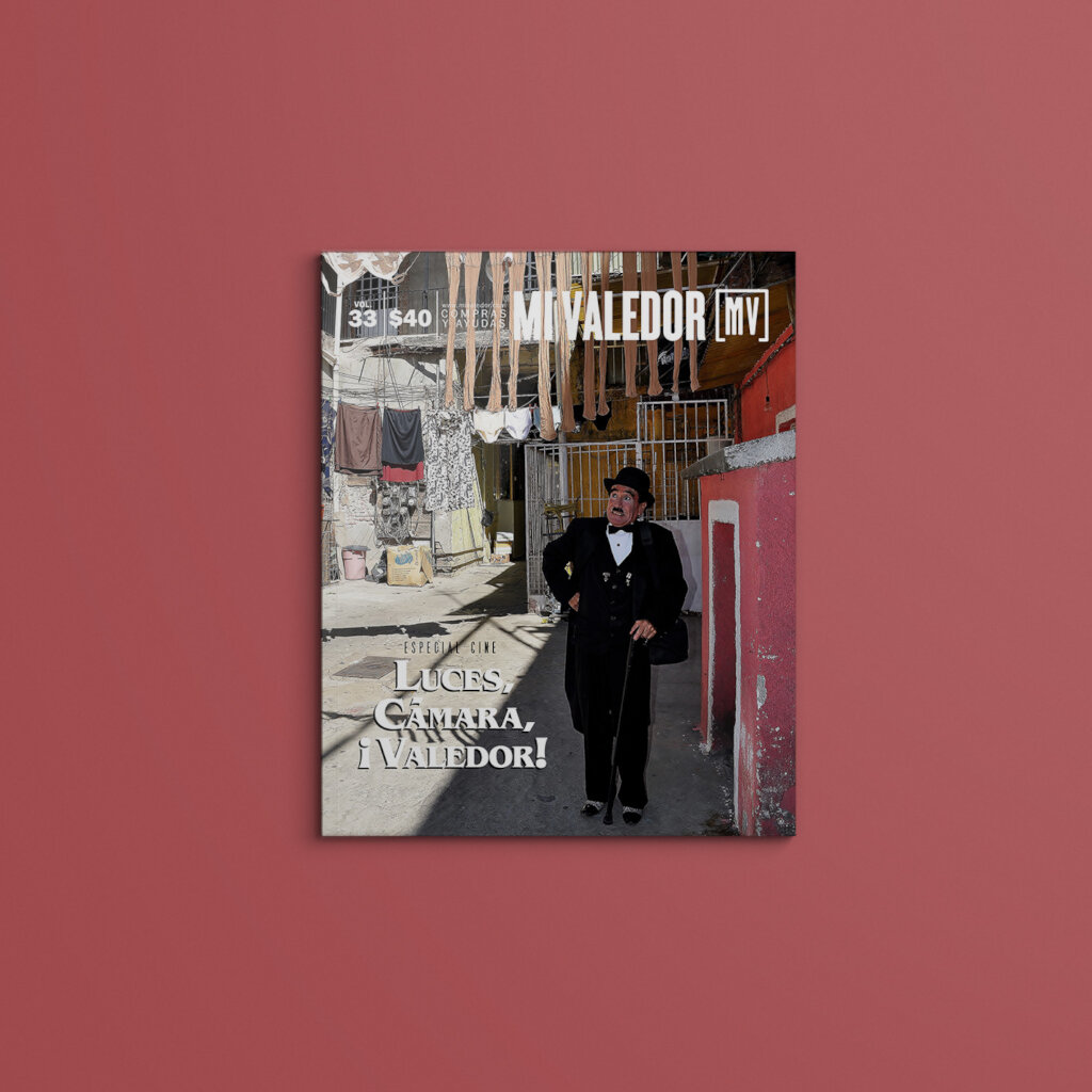 Street paper Mi valedor