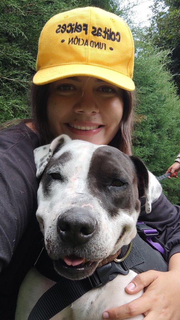 BUILD HOPE: A HAVEN FOR RESCUED DOGS IN COLOMBIA