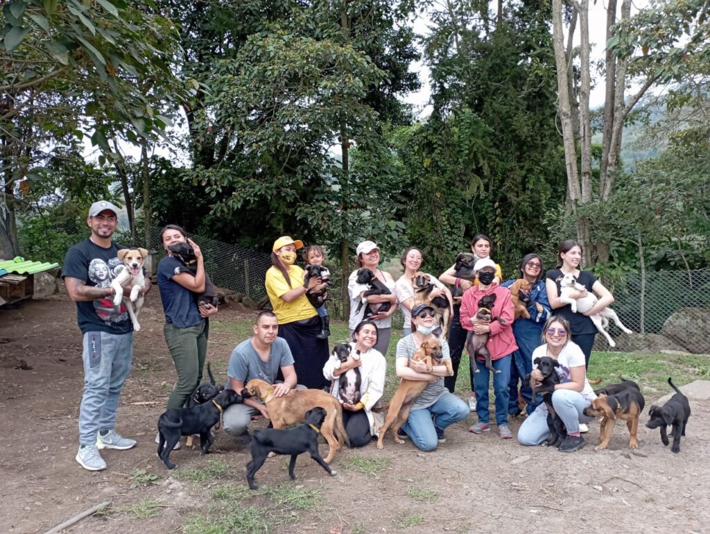 BUILD HOPE: A HAVEN FOR RESCUED DOGS IN COLOMBIA