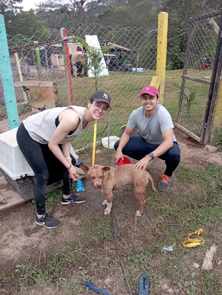 BUILD HOPE: A HAVEN FOR RESCUED DOGS IN COLOMBIA