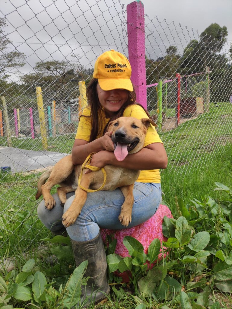 BUILD HOPE: A HAVEN FOR RESCUED DOGS IN COLOMBIA
