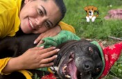BUILD HOPE: A HAVEN FOR RESCUED DOGS IN COLOMBIA
