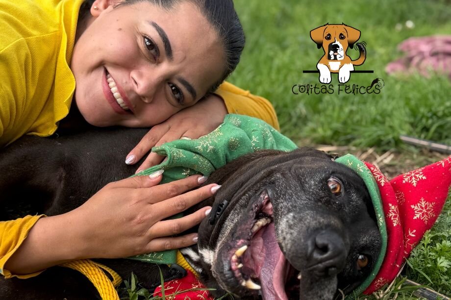 BUILD HOPE: A HAVEN FOR RESCUED DOGS IN COLOMBIA