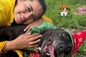 BUILD HOPE: A HAVEN FOR RESCUED DOGS IN COLOMBIA