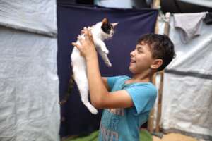Our Gaza Darna Shelters offer a path to recovery