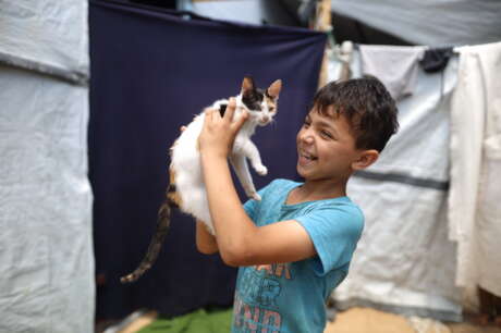 Build First Five Gaza Darna Transitional Shelters