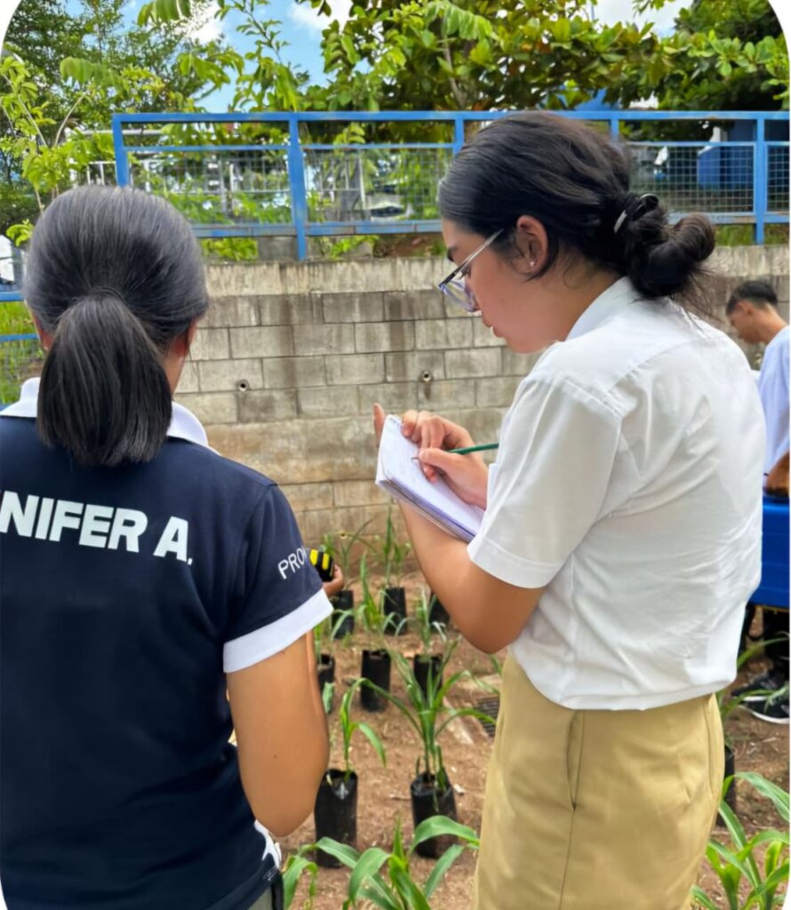 Students meassuring a plant