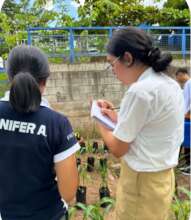 Students meassuring a plant