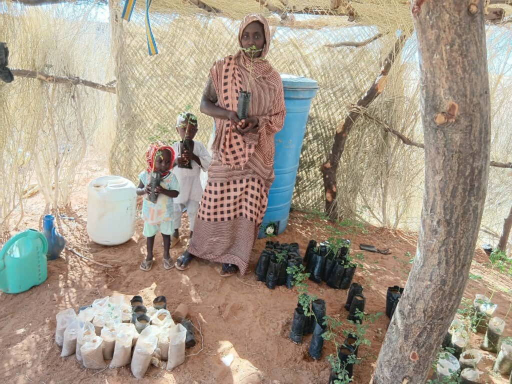 Community Tree Nursery for Darfur Village
