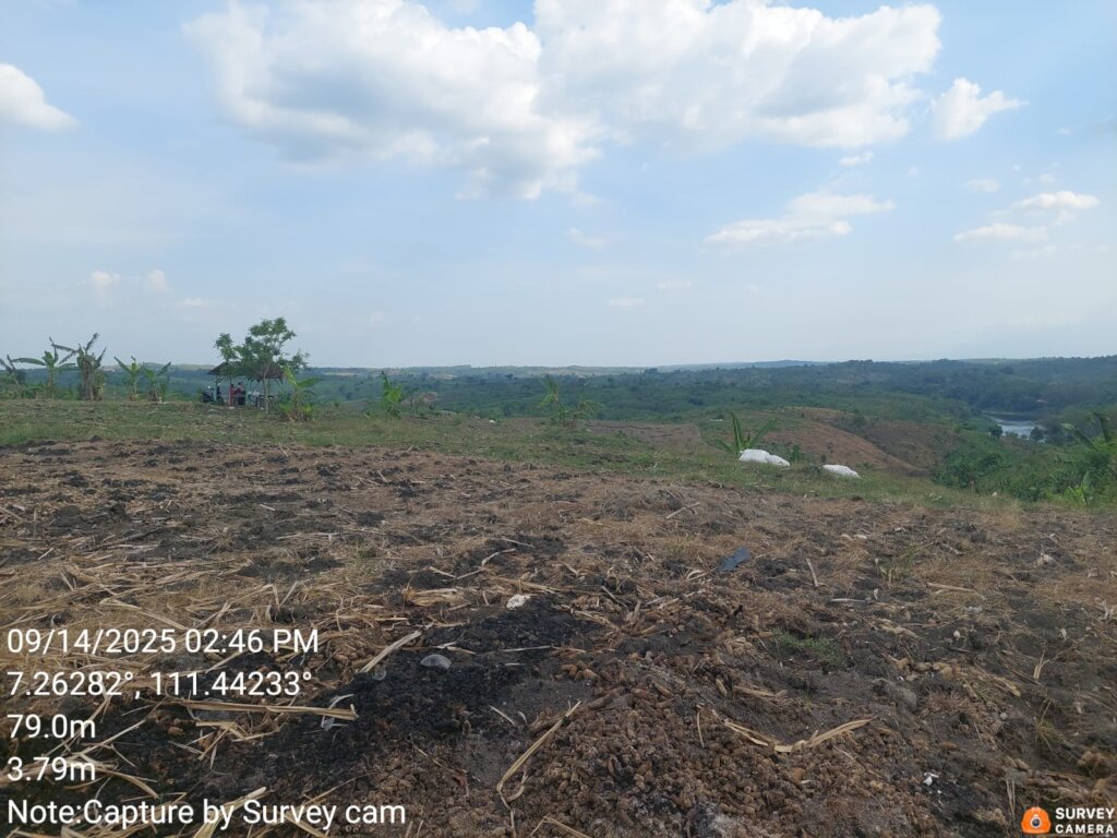 Plant 100.000 Trees in Indonesia Damaged Forest