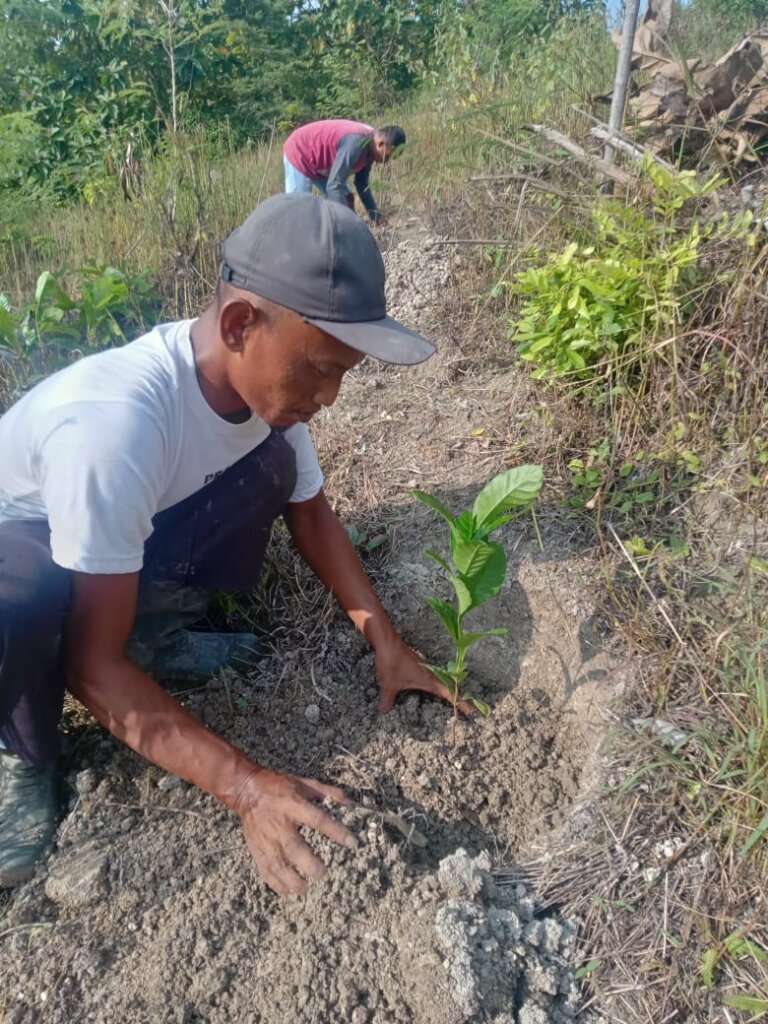 Plant 100.000 Trees in Indonesia Damaged Forest