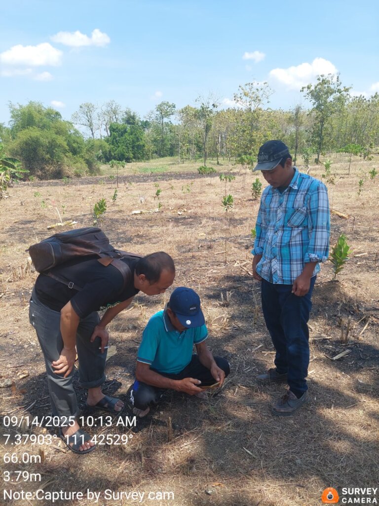 Plant 100.000 Trees in Indonesia Damaged Forest