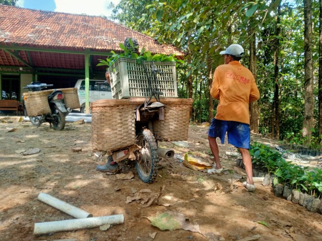 Plant 100.000 Trees in Indonesia Damaged Forest