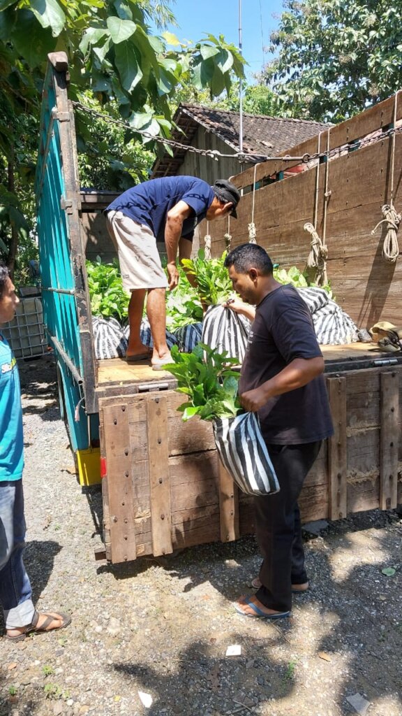 Plant 1.000.000 Trees in Indonesia Damaged Forest