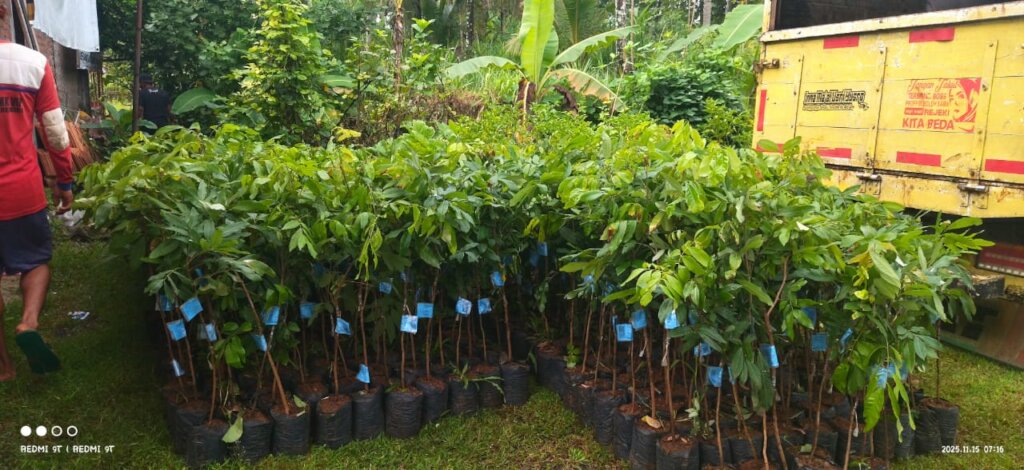 Plant 1.000.000 Trees in Indonesia Damaged Forest