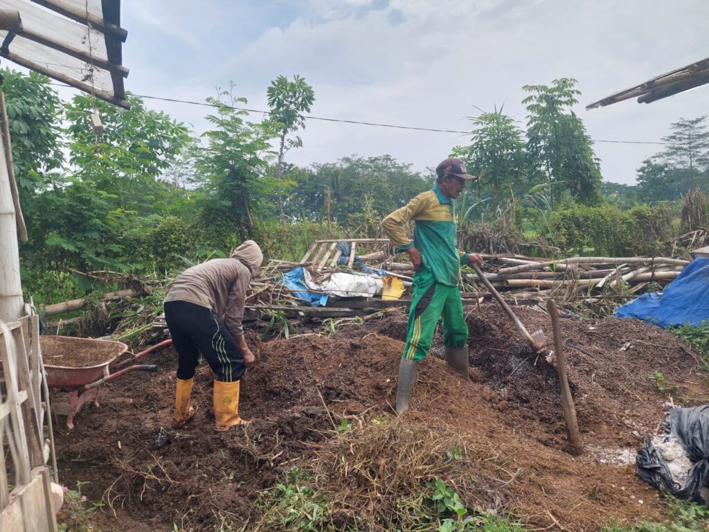 Plant 1.000.000 Trees in Indonesia Damaged Forest