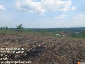 Degraded Forest in Blora, Central Java