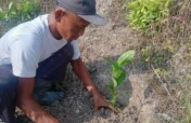 Plant 1.000.000 Trees in Indonesia Damaged Forest